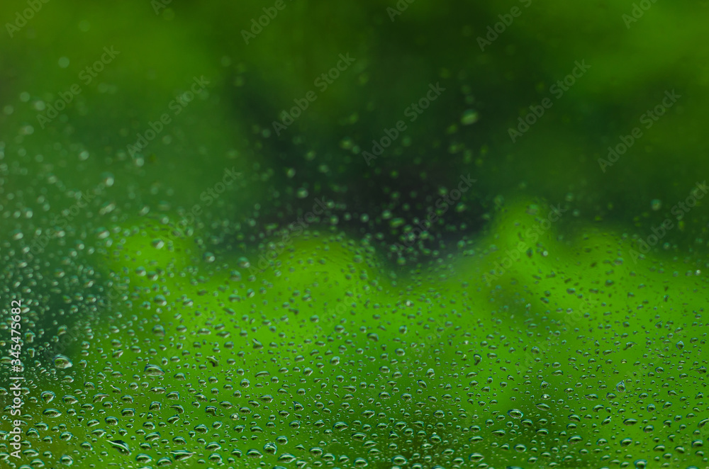 Wall mural blurred and focus of rain drop on glass window with green color background in monsoon season for abs