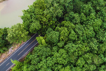 Aerial view asphalt road through green tropical rainforest