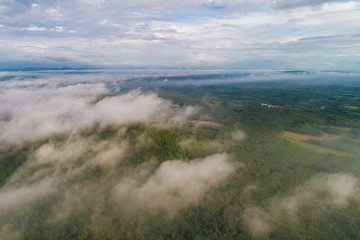 Aerial view green tree mountain forest with fog morning scene