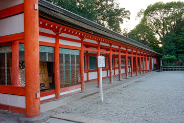 京都　下鴨神社