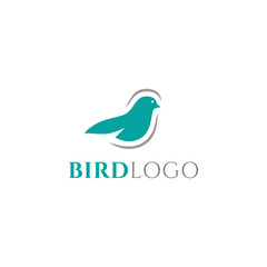 Bird logo design vector template