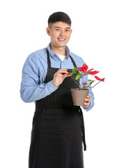 Portrait of Asian male florist with plant on white background