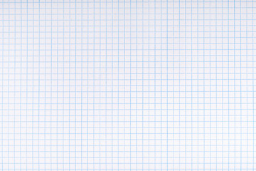 Exercise book paper page with squares, one page. Blank lined worksheet exercise book for math.