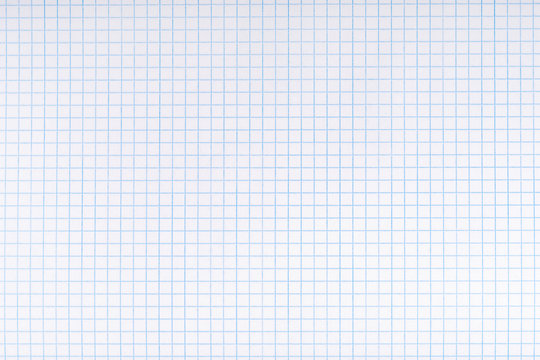 Exercise book paper page with squares, one page. Blank lined worksheet exercise book for math.