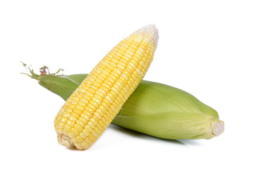 Sweet corn isolated on white background