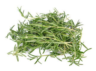 rosemary isolated on white background
