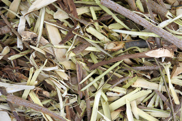 Pile of shavings