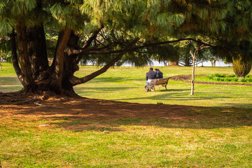 A couple sitting in a public park in Srinagar, Kashmir. A different perspective. Romance in park