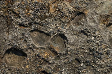 Texture of stone, rocks, textured orange with hard light