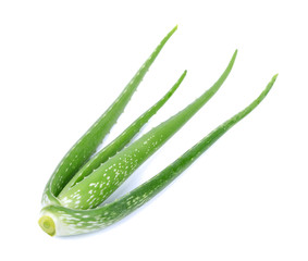 Aloe vera leaves isolated on white background