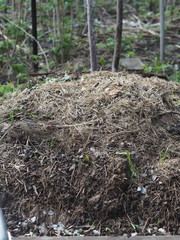 Compost heap with rotten droppings from rabbits, dry leaves and plants, kitchen waste, rotten...