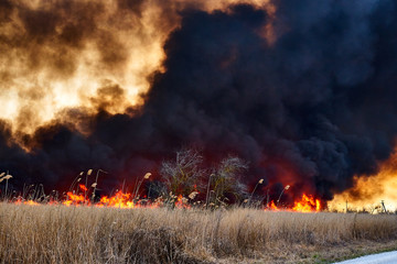 Wildfires. Burning estuary. Fire in the steppe.