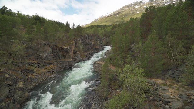 A wild mountain river rushing down the canyon. Turbulent water foam and whirl, attacking the river banks. The narrow trail following the river. The dense pine forest surrounding the river.