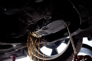 Car mechanic drain automatic transmission fluid - obrazy, fototapety, plakaty