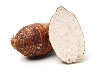Taro on a white background