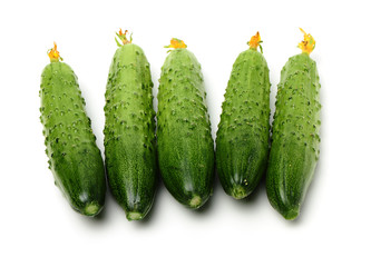 Green cucumber on the white background