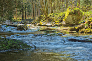 Langzeitbelichtung Gewässer im Erzgebirge an der Bockau, Fluss mit Steinen, Wald, Lichtstimmung
