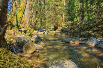 Langzeitbelichtung Gewässer im Erzgebirge an der Bockau, Fluss mit Steinen, Wald, Lichtstimmung
