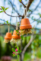 House for insects useful for the garden. DIY.
