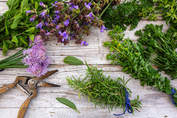 Fresh herbs prepared for drying.