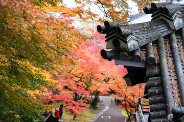 Japanese roof with colorful leaves in the garden, Pavilion in Eikando temple or Eikan-do Zenrinji shrine, famous for tourist attractions in Kyoto, Japan. Autumn foliage season and travel concept