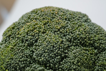 Fresh broccoli isolated on white background