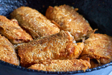 Fried roach with golden crust. Macro