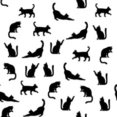 Seamless pattern of simply drawing kitty in various acting isolated on white background. 
