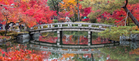 scenery Stone bridge and pond with colorful leaves in Eikando temple, beautiful nature garden in...