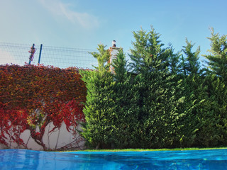 Metal fence mesh high, green plants in the foreground and blue sky in the background