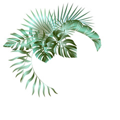 Fototapeta na wymiar Tropical leaves composition. Jungle foliage design for postcard, label, web design or post in social networks. Paradise nature element. Botanical vector illustration isolated on white background.