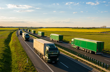 Columns of green trucks on the highway