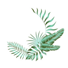 Tropical leaves composition. Jungle foliage design for postcard, label, web design or post in social networks. Paradise nature element. Botanical vector illustration isolated on white background.