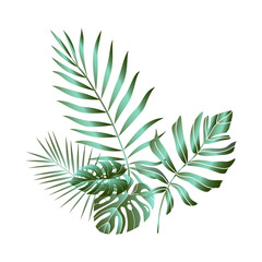 Tropical leaves composition. Jungle foliage design for postcard, label, web design or post in social networks. Paradise nature element. Botanical vector illustration isolated on white background.