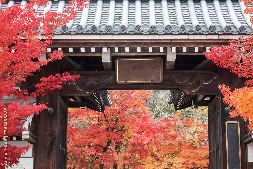 Wall mural japanese traditional wooden gate with colorful leaves in autumn foliage season. kyoto, kansai, japan