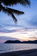 Fototapeta na wymiar beautiful twilight nature seascape , amazing paradise sunset sky . black silhouette coconut trees on the beach in holiday .