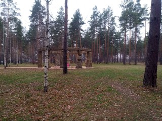 Obraz premium wooden fence in the forest