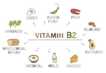 Vitamin B2 (riboflavin). Foods rich in b2, natural products, fruits, vegetables on white background. Healthy lifestyle concept