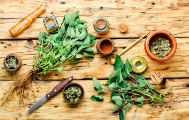 Healing herbs on wooden table