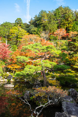Scenery beautiful garden in Ginkakuji temple or the Silver Pavilion area in Autumn foliage season, landmark and famous for tourist attractions. Kyoto, Japan, 25 November 2019
