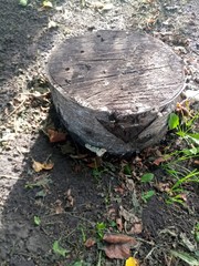 old stone in the forest
