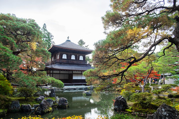 Scenery Ginkakuji temple or the Silver Pavilion in Autumn foliage season, landmark and famous for tourist attractions in Kyoto, Kansai, Japan