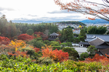 Scenery Ginkakuji temple or the Silver Pavilion in Autumn foliage season, landmark and famous for tourist attractions in Kyoto, Kansai, Japan