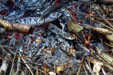 Blurred photo, fire burns in the forest