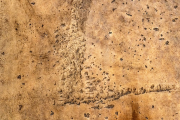 Grunge scratched muddy eroded surface. Damaged uneven grimed solid backdrop.