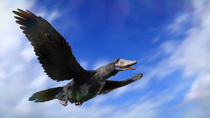 Archaeopteryx, bird-like dinosaur flying through the sky 