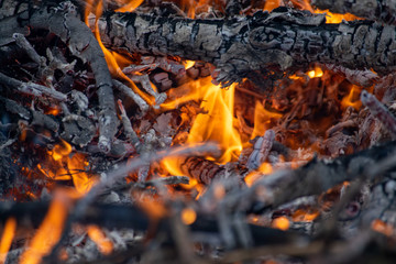 Burning coals in a bonfire.