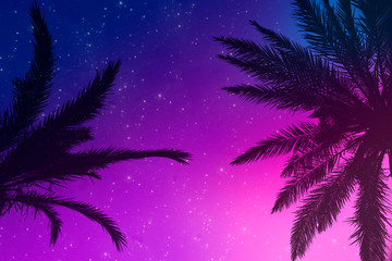 Fototapeta na wymiar Abstract starry sky and silhouettes of palm trees. Can be used as wallpaper. Tropics concept, tropics night. Flat lay, top view