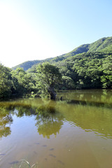 Beautiful forest reflected in the lake. Jusanji, Cheongsong, Gyeongsangbuk-do, Korea