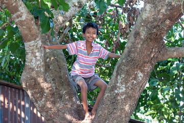 The boy climbing on the big santol tree and standing smile on the trunk in the countryside.